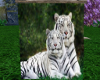 (T)Siberian Tigers bnnr