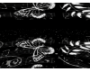*Light Dome Butterfly