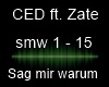 CED ft. Zate