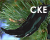 CKE Pine Dream Tail