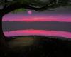 Purple Sunset-Bundle