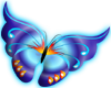 Blue Butterfly (small)