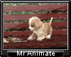 !A-Puppy & Rose