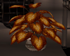 [CI]Autumn Phaze Plant 3