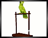 Animated Parrot