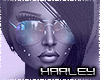 ! Shes So Fly Bundle v1