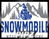 *P* SnowMobile Race