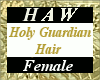 Holy Guardian Hair - F