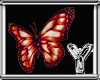 [Y] Butterflies Red