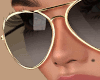 Mika Sunglasses Gold Rim