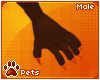 [Pets] Saber | claws