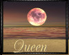 !Q Moon Shore