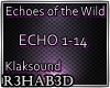 Echoes Of The Wind