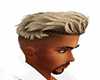 Blond Hair
