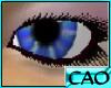 CAO Blue Eyes