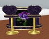 RM Majestic Purple Rose
