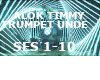 ALOK TIMMY TRUMPET UNDE