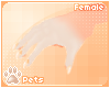 [Pets] Kinx | paws F