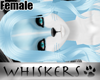 Whisksers :Frost Hair F2