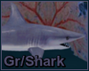 Grey/Shark