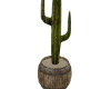 western decor cactus