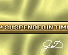 Suspended In Time (VIP)