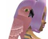 Pink Parrot on Shoulder