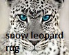 snow leopard rug