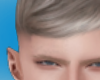 Albert  Platinum