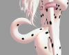 {F} Dalmatian Tail V3