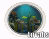 Luvahs~ Aquarium