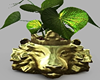 Gold Lion Face Planter