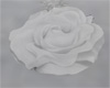 RH White Rose Marker