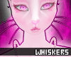 ✘Skyefury Whiskers