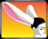 :EF: White Bunny Ears
