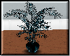 Dark Aqua Willow