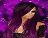 Avril 14 Purple