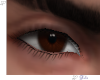 [Gel]Brown Male eyes