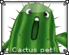 :B Pet - Stan the Cactus