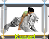 ~K~White Tiger brushing
