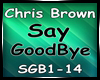 Chris Brown| Say GoodBye