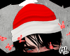 ML| Santa h/b