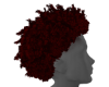 Berry Youngeen Fro
