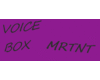 MRTNT VOICE BOX