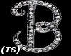 (TS) Custom B Chain