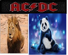 ACDC Panda Lion Dresser