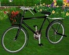 [A]Romantic Bicycle