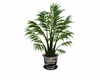 Tile potted plant