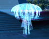 Jellyfish 2
