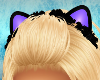 Violet Furry Kitteh Ears
